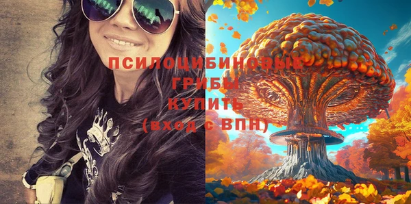 герыч Пересвет